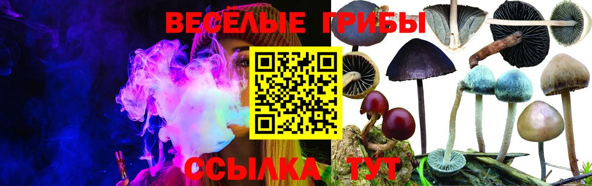 Кашира  Псилоцибиновые грибы мицелий  Галлюциногенные грибы Cubensis  где можно купить наркотик  Вход с VPN 