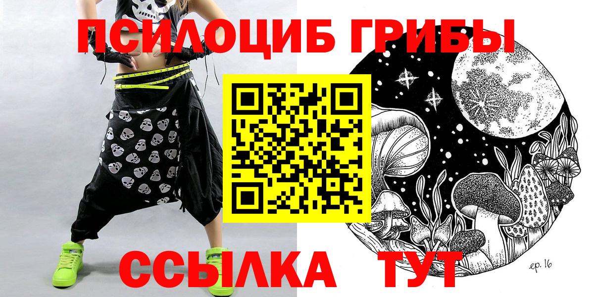 Псилоцибиновые грибы Cubensis Кашира
